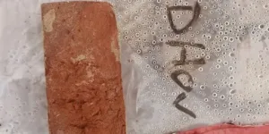 Franck - Veldhovensteen