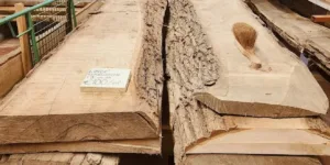 Linde schaaldeel 90mm