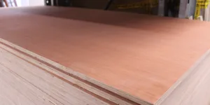 Multiplex hardhout 18mm (250 x 122)