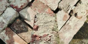 Baksteen (20 x 9 x 6)