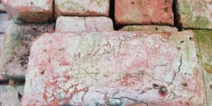 Baksteen (21 x 10  x 6)