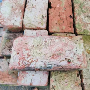 Baksteen (21 x 10  x 6)