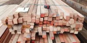 Hardhout Keper - Tropische mix (40 x 45 x 280)