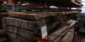 Tulp schaaldeel 40/76mm