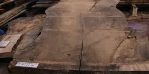 Rode vervuurde beuk schaaldeel 90mm