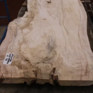 Vervuurde wilde kastanje schaaldeel 65mm