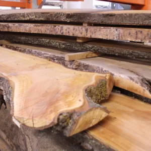 Schaaldeel kers 55mm