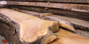 Schaaldeel kers 55mm