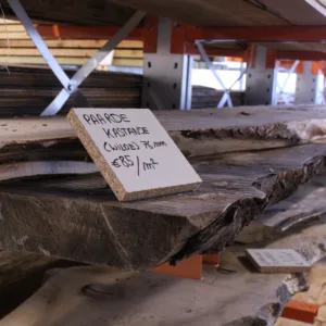 Wilde paarde kastanje schaaldeel