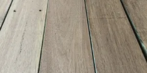 Lot Basralocus Terras - (1,9 x 14 x 387 & 293)