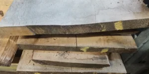 Europese Eik schaaldeel - 50 & 60mm