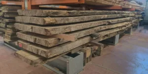 Schaaldeel - Europese Eik 44mm