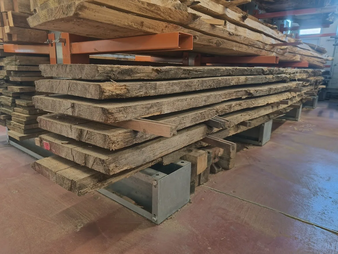 Schaaldeel – Europese Eik 44mm