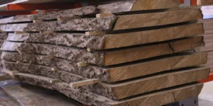 Es schaaldeel 45-50mm