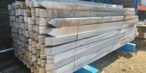 Gepunte Hardhoutpaal - Piquiá - (8 x 8 x 250)