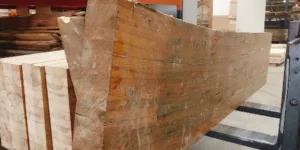 GluLam element – Oregon Pine / Europese Douglas (13,5 × 48–72 × 206 cm)