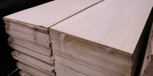 Multiplex Populier 12mm (160 x 60)cm